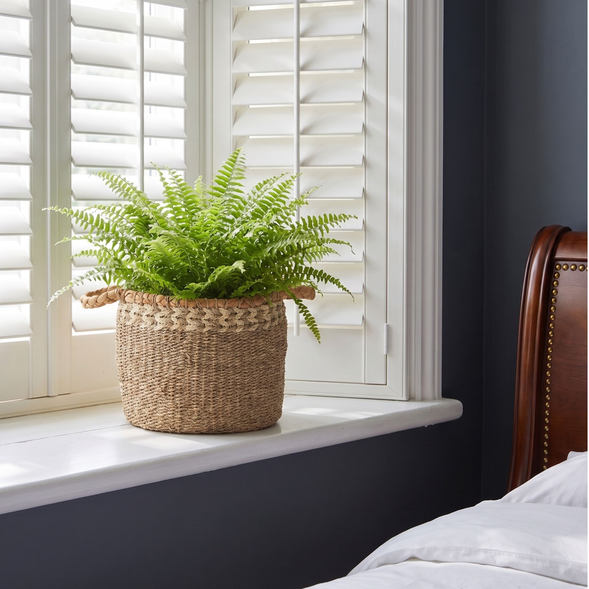 Round Seagrass Storage Basket Pair – BKS-C49 (Cói) - Detail View 3 - Vietrustic